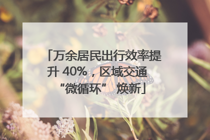 万余居民出行效率提升 40%，区域交通 “微循环” 焕新