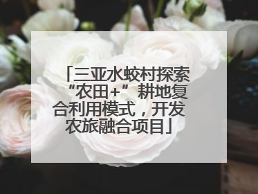 三亚水蛟村探索“农田+”耕地复合利用模式，开发农旅融合项目