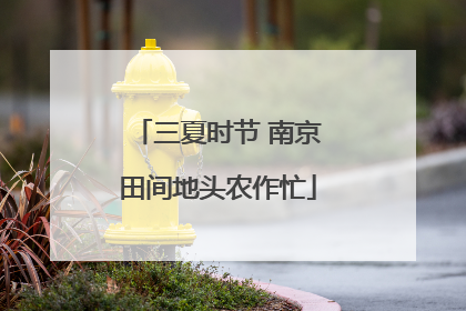三夏时节 南京田间地头农作忙