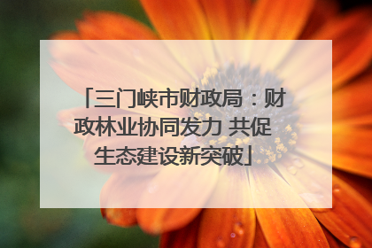 三门峡市财政局：财政林业协同发力 共促生态建设新突破