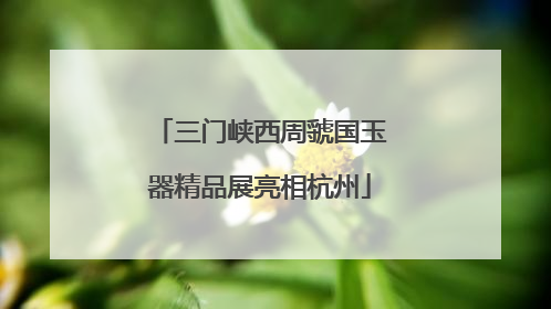 三门峡西周虢国玉器精品展亮相杭州