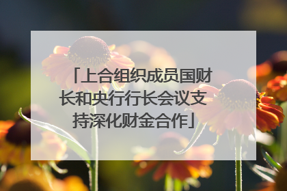上合组织成员国财长和央行行长会议支持深化财金合作