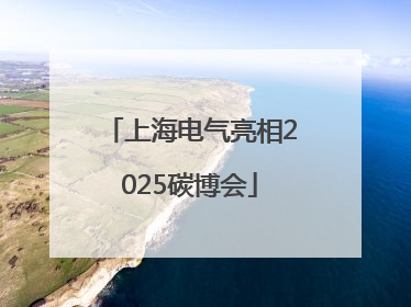 上海电气亮相2025碳博会
