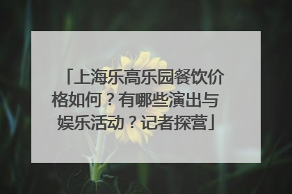 上海乐高乐园餐饮价格如何？有哪些演出与娱乐活动？记者探营