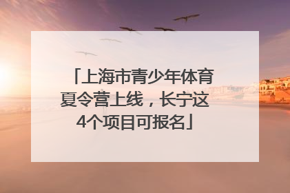 上海市青少年体育夏令营上线，长宁这4个项目可报名