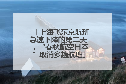 上海飞东京航班急速下降的第二天，“春秋航空日本”取消多趟航班