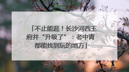 不止能逛！长沙河西王府井“升级了”：老中青都能找到玩的地方