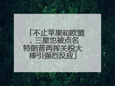 不止苹果和欧盟，三星也被点名 特朗普再挥关税大棒引强烈反应