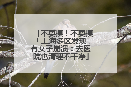不要摸！不要摸！上海多区发现，有女子崩溃：去医院也清理不干净