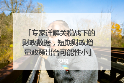 专家详解关税战下的财政数据，短期财政增量政策出台可能性小