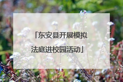 东安县开展模拟法庭进校园活动