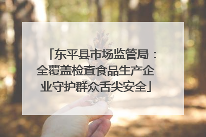 东平县市场监管局：全覆盖检查食品生产企业守护群众舌尖安全