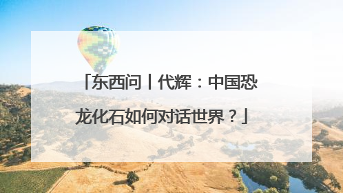 东西问丨代辉：中国恐龙化石如何对话世界？