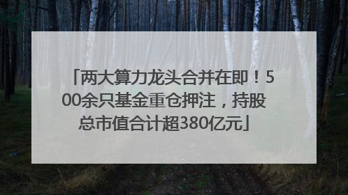 两大算力龙头合并在即！500余只基金重仓押注，持股总市值合计超380亿元