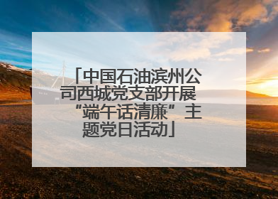 中国石油滨州公司西城党支部开展“端午话清廉”主题党日活动