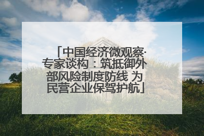 中国经济微观察·专家谈构：筑抵御外部风险制度防线 为民营企业保驾护航