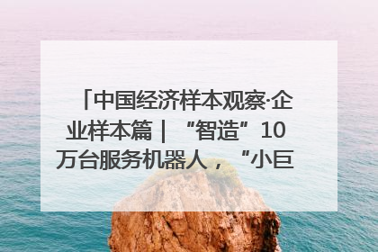 中国经济样本观察·企业样本篇｜“智造”10万台服务机器人，“小巨人”擎朗有大梦想