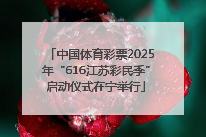中国体育彩票2025年“616江苏彩民季”启动仪式在宁举行
