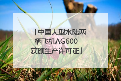 中国大型水陆两栖飞机AG600获颁生产许可证