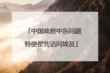 中国政府中东问题特使翟隽访问埃及