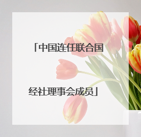 中国连任联合国经社理事会成员