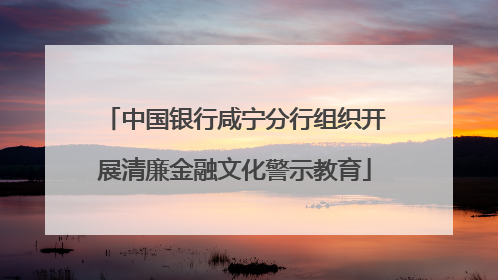 中国银行咸宁分行组织开展清廉金融文化警示教育