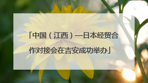 中国（江西）—日本经贸合作对接会在吉安成功举办