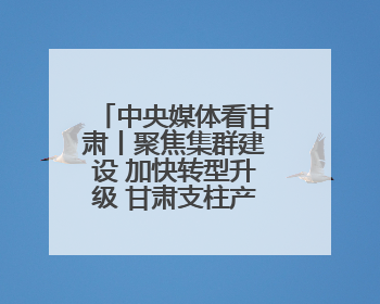 中央媒体看甘肃丨聚焦集群建设 加快转型升级 甘肃支柱产业增势强劲