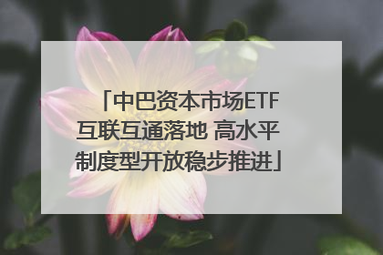 中巴资本市场ETF互联互通落地 高水平制度型开放稳步推进