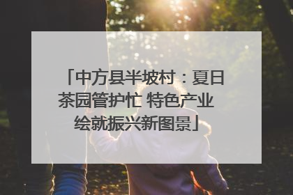 中方县半坡村：夏日茶园管护忙 特色产业绘就振兴新图景