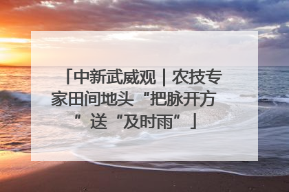 中新武威观｜农技专家田间地头“把脉开方”送“及时雨”