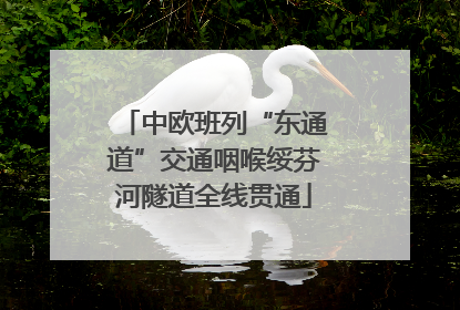 中欧班列“东通道”交通咽喉绥芬河隧道全线贯通