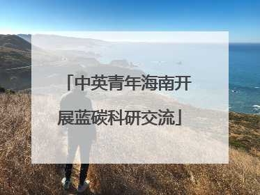 中英青年海南开展蓝碳科研交流