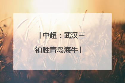 中超：武汉三镇胜青岛海牛
