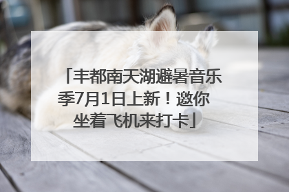 丰都南天湖避暑音乐季7月1日上新！邀你坐着飞机来打卡