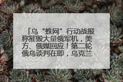 乌“蛛网”行动战报称摧毁大量俄军机，美方、俄媒回应！第二轮俄乌谈判在即，乌克兰提出三大诉求