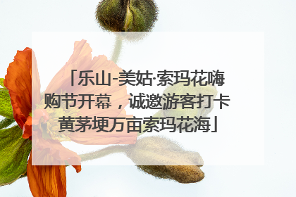 乐山-美姑·索玛花嗨购节开幕，诚邀游客打卡黄茅埂万亩索玛花海