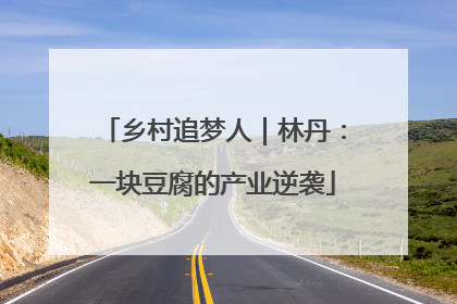 乡村追梦人｜林丹：一块豆腐的产业逆袭