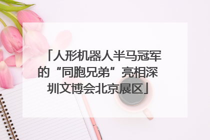 人形机器人半马冠军的“同胞兄弟”亮相深圳文博会北京展区