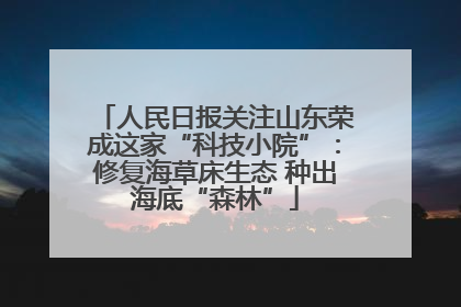 人民日报关注山东荣成这家“科技小院”：修复海草床生态 种出海底“森林”