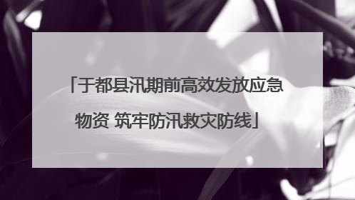 于都县汛期前高效发放应急物资 筑牢防汛救灾防线