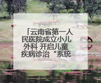 云南省第一人民医院成立小儿外科 开启儿童疾病诊治“系统作战”新时代