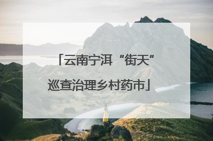 云南宁洱“街天”巡查治理乡村药市