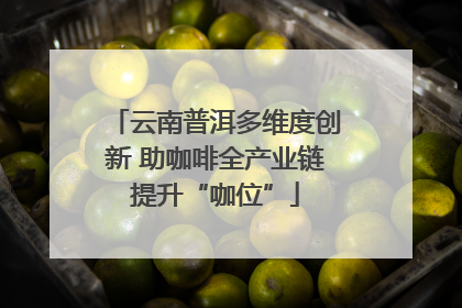云南普洱多维度创新 助咖啡全产业链提升“咖位”