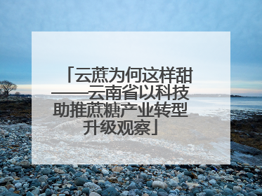 云蔗为何这样甜——云南省以科技助推蔗糖产业转型升级观察