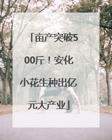 亩产突破500斤！安化小花生种出亿元大产业
