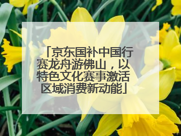 京东国补中国行赛龙舟游佛山，以特色文化赛事激活区域消费新动能