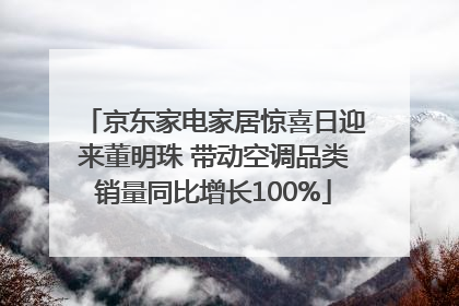 京东家电家居惊喜日迎来董明珠 带动空调品类销量同比增长100%