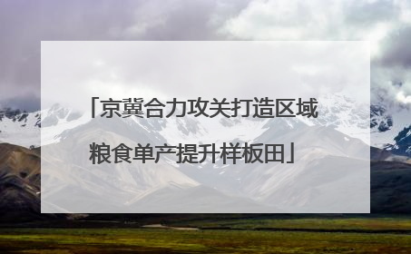 京冀合力攻关打造区域粮食单产提升样板田