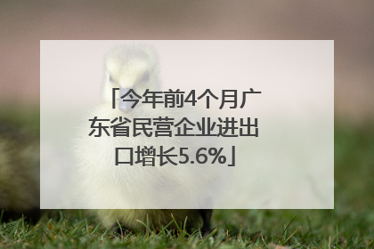 今年前4个月广东省民营企业进出口增长5.6%
